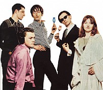 Pulp