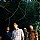 The Shins