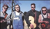 Hayseed Dixie