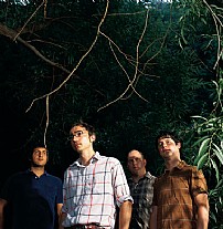 The Shins